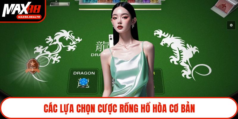 Các lựa chọn cược Rồng Hổ Hòa cơ bản