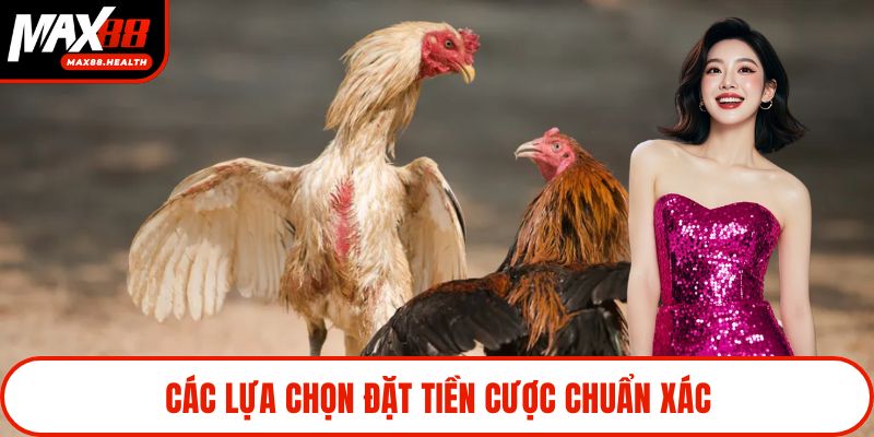Các lựa chọn đặt tiền cược chuẩn xác