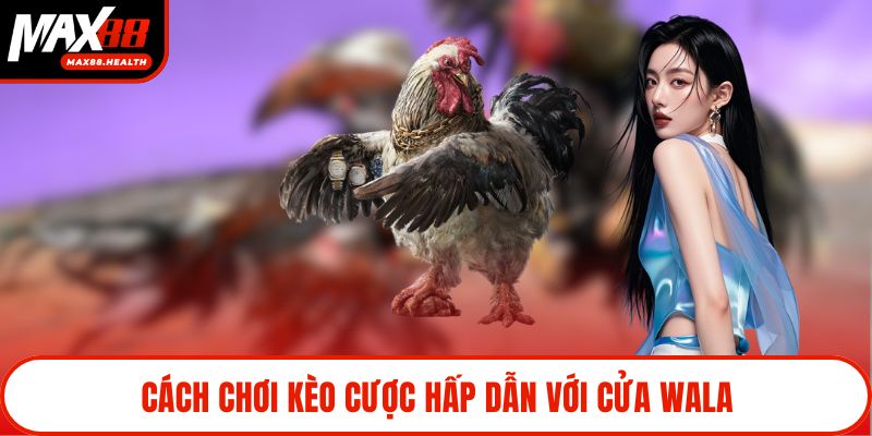 Cách chơi kèo cược hấp dẫn với cửa Wala