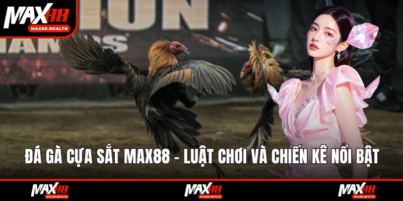 Đá gà cựa sắt max88