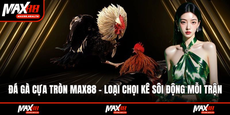 Đá gà cựa tròn max88