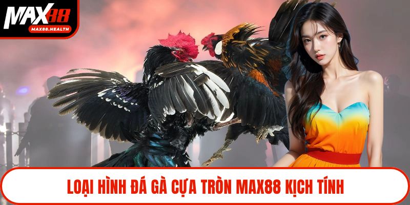 Loại hình đá gà cựa tròn Max88 kịch tính