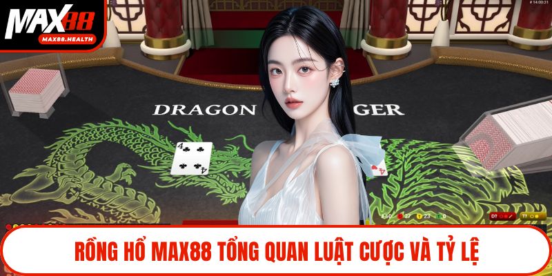 Rồng hổ Max88 tổng quan luật cược và tỷ lệ
