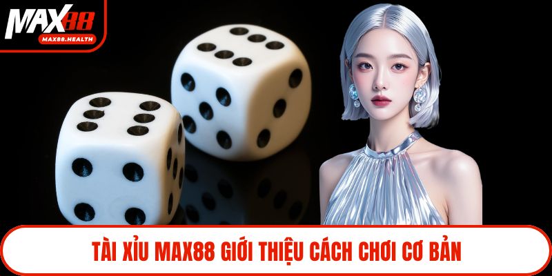 Tài xỉu Max88 giới thiệu cách chơi cơ bản
